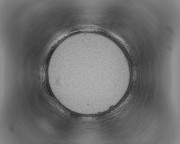 X0000112521407200909281007