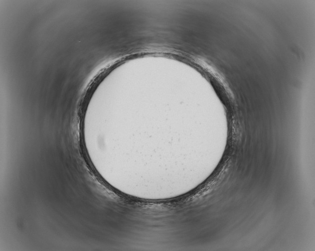 X0000112521408200909281007