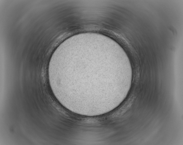 X0000112521409200909281007