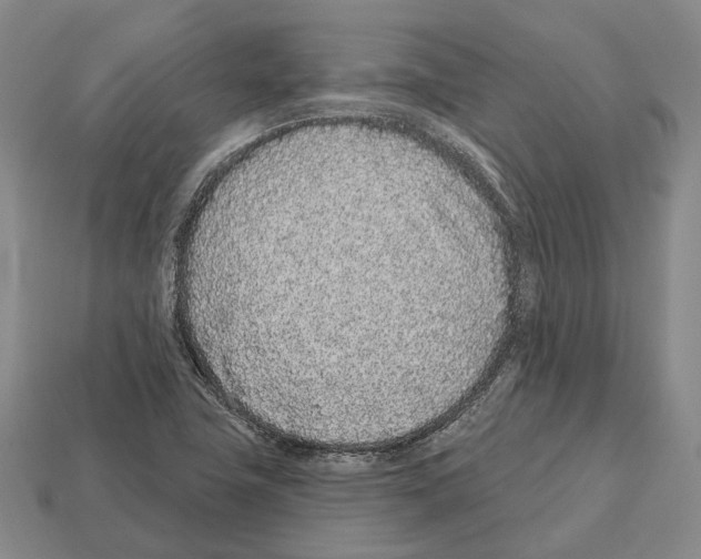X0000112521411200909281007