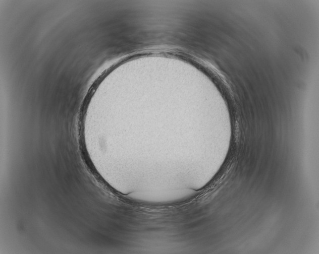X0000112521412200909281007