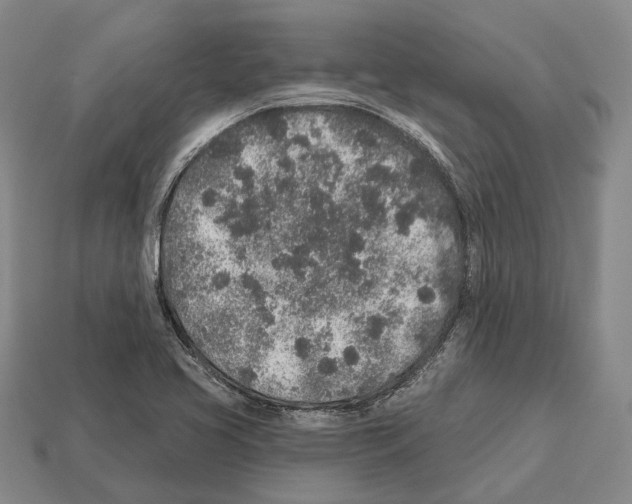 X0000112521413200909281007