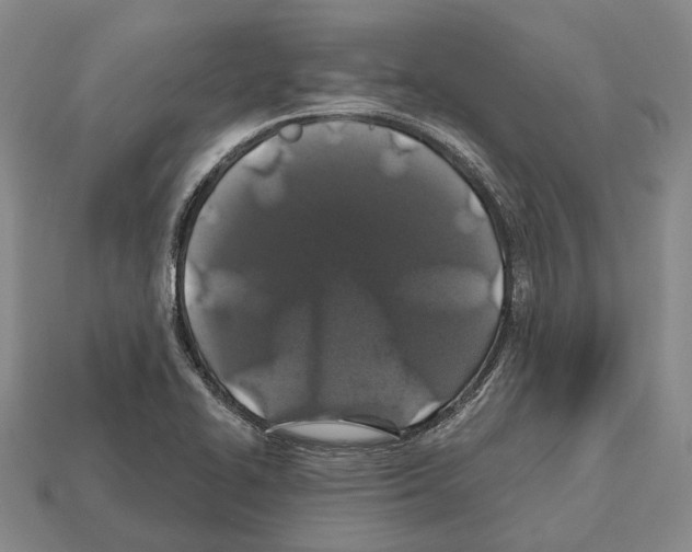 X0000112521414200909281007