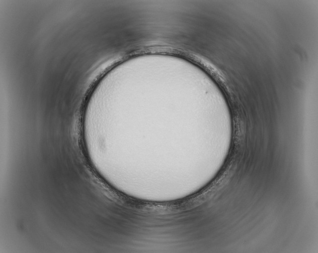 X0000112521415200909281007