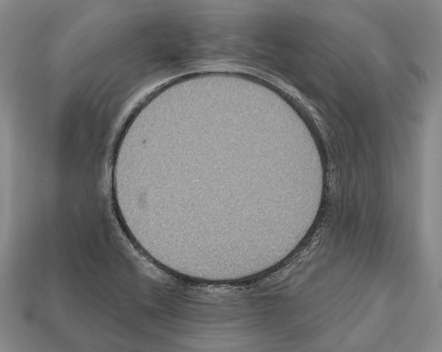 X0000112521416200909281007