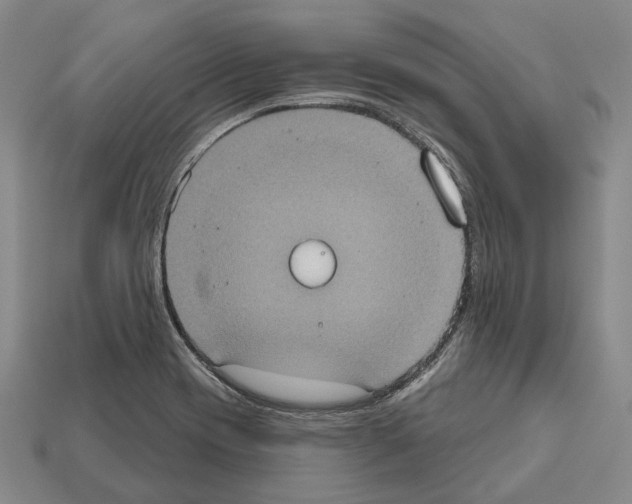 X0000112521417200909281007