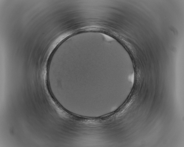 X0000112521418200909281007