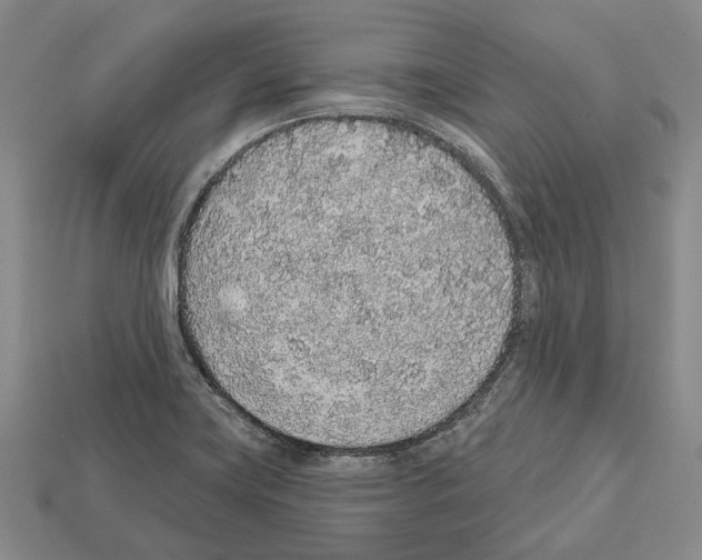 X0000112521419200909281007