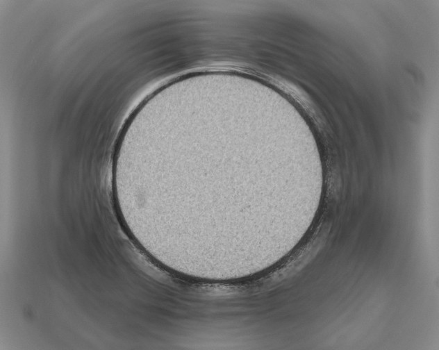 X0000112521420200909281007