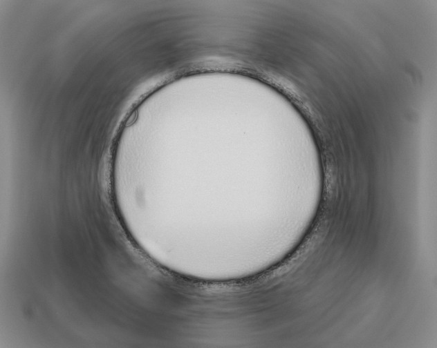 X0000112521421200909281007