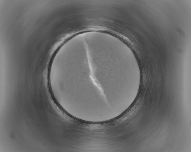 X0000112521422200909281007