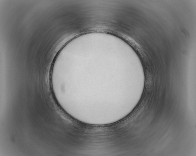 X0000112521423200909281007