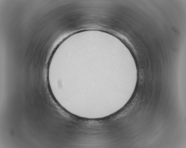 X0000112521424200909281007