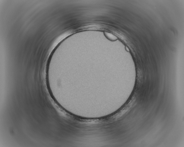 X0000112521426200909281007