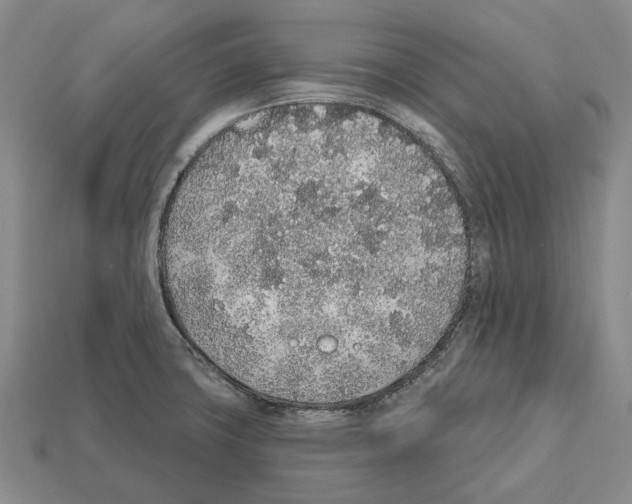 X0000112521427200909281007