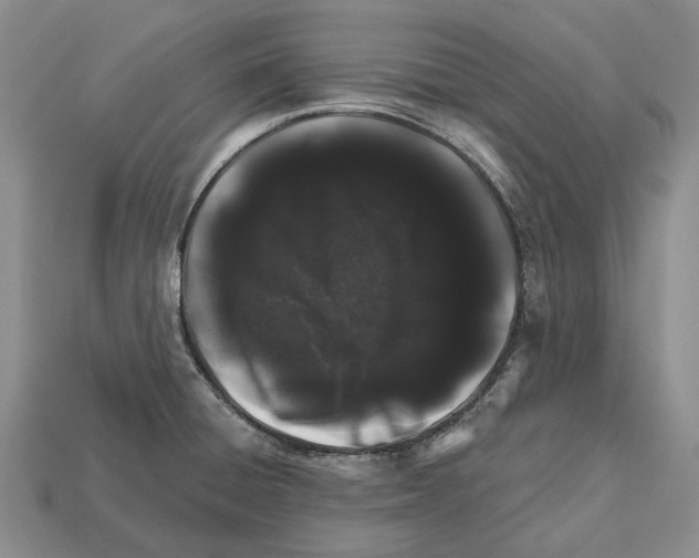 X0000112521428200909281007