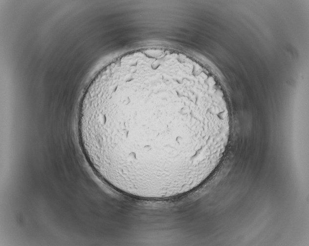 X0000112521429200909281007