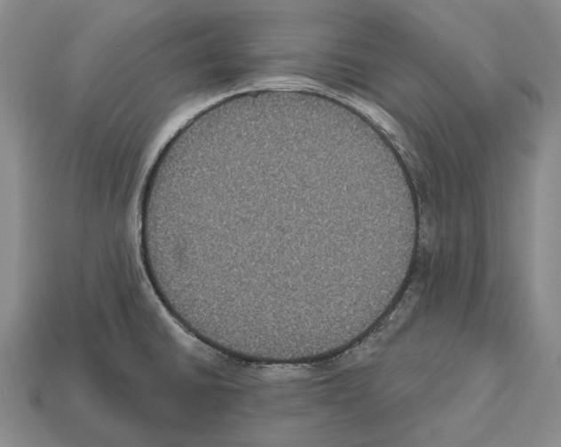X0000112521430200909281007