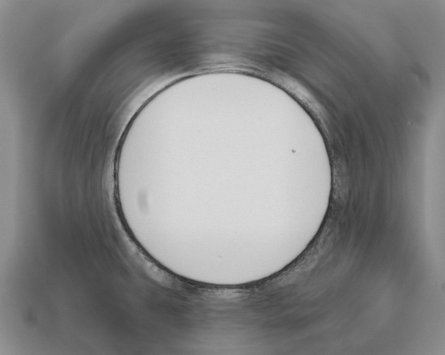 X0000112521431200909281007