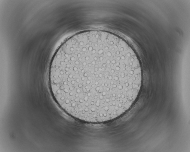 X0000112521432200909281008