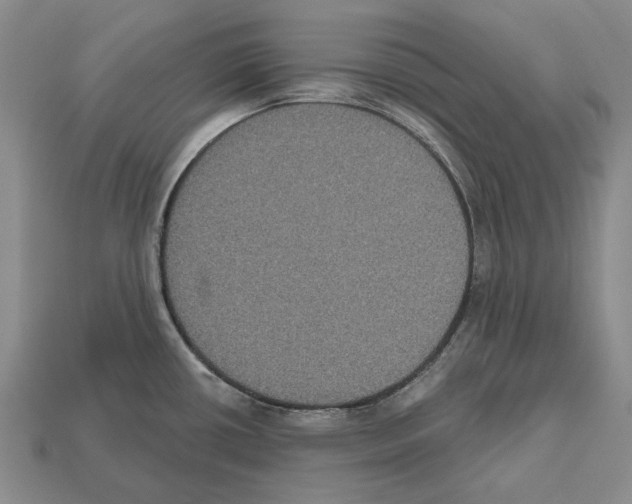 X0000112521434200909281008