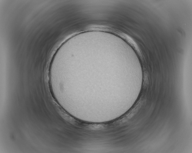 X0000112521435200909281008