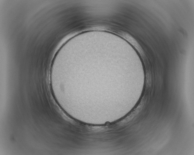 X0000112521436200909281008