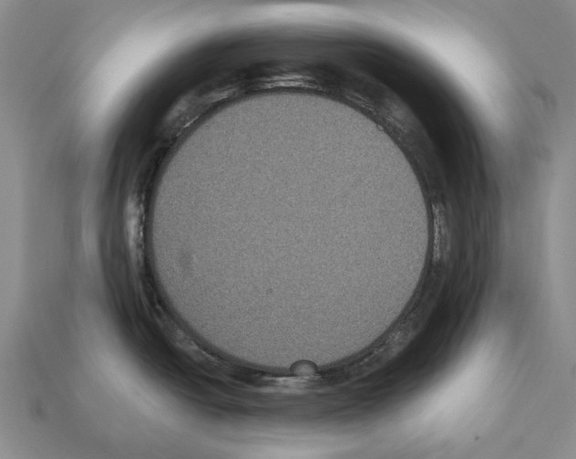 X0000112521438200909281008