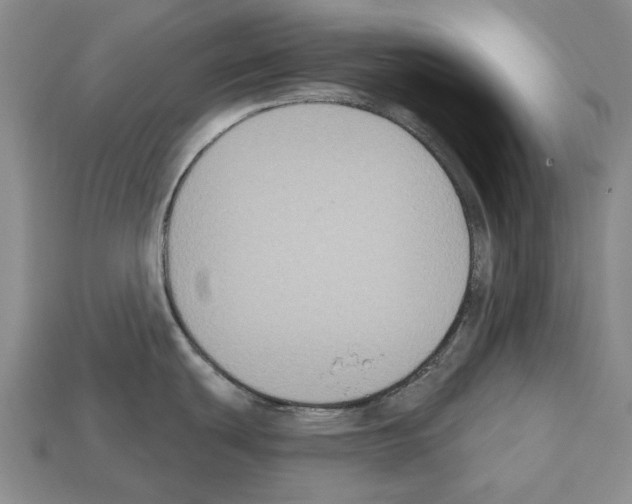 X0000112521439200909281008
