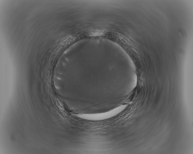 X0000112521441200909281007