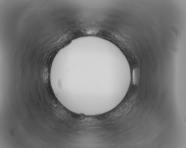 X0000112521443200909281007