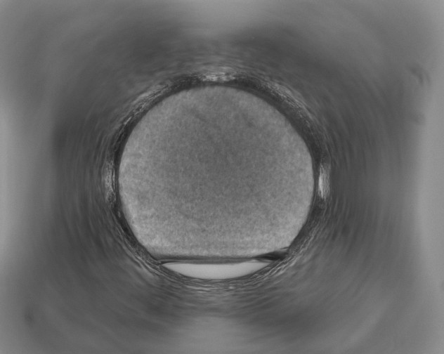 X0000112521444200909281007