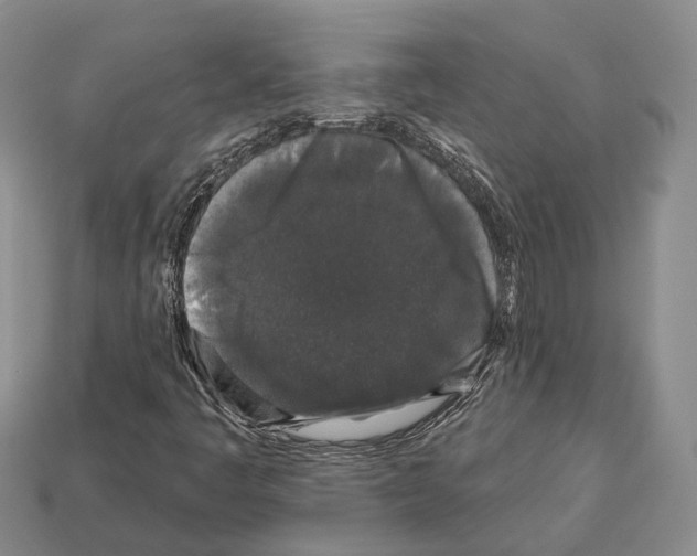 X0000112521445200909281007
