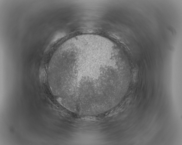 X0000112521446200909281007