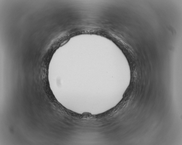 X0000112521447200909281007