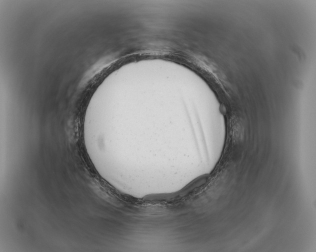 X0000112521448200909281007
