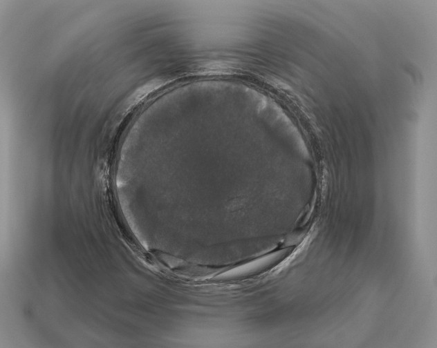 X0000112521449200909281007