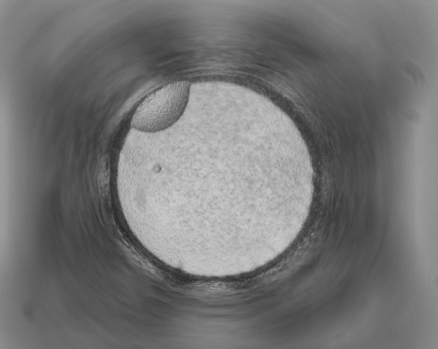 X0000112521450200909281007