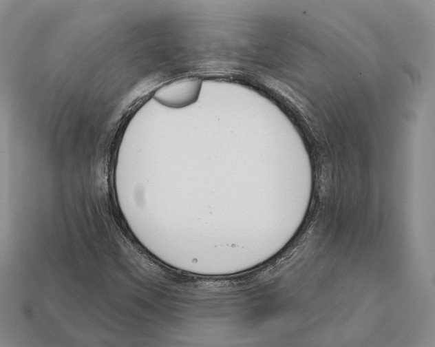 X0000112521451200909281007