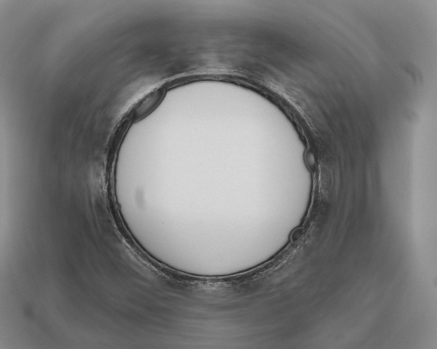 X0000112521452200909281007
