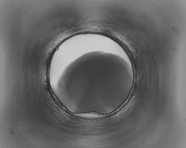X0000112521455200909281007