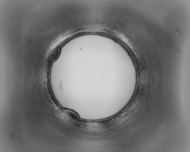 X0000112521456200909281007