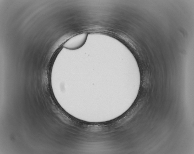 X0000112521458200909281007