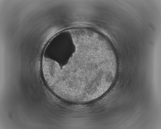 X0000112521459200909281007