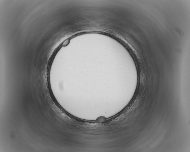 X0000112521460200909281007