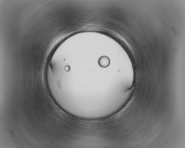 X0000112521461200909281007
