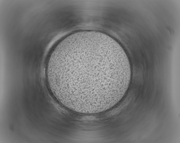 X0000112521462200909281007