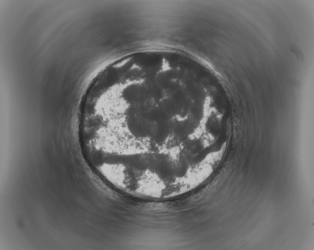 X0000112521463200909281007