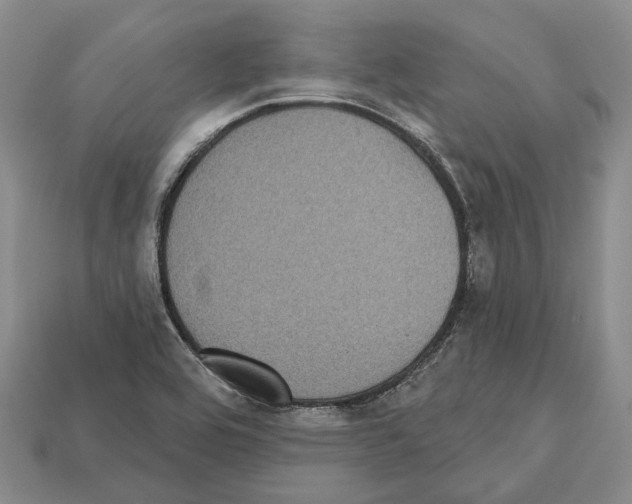 X0000112521464200909281007