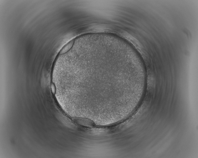 X0000112521465200909281007